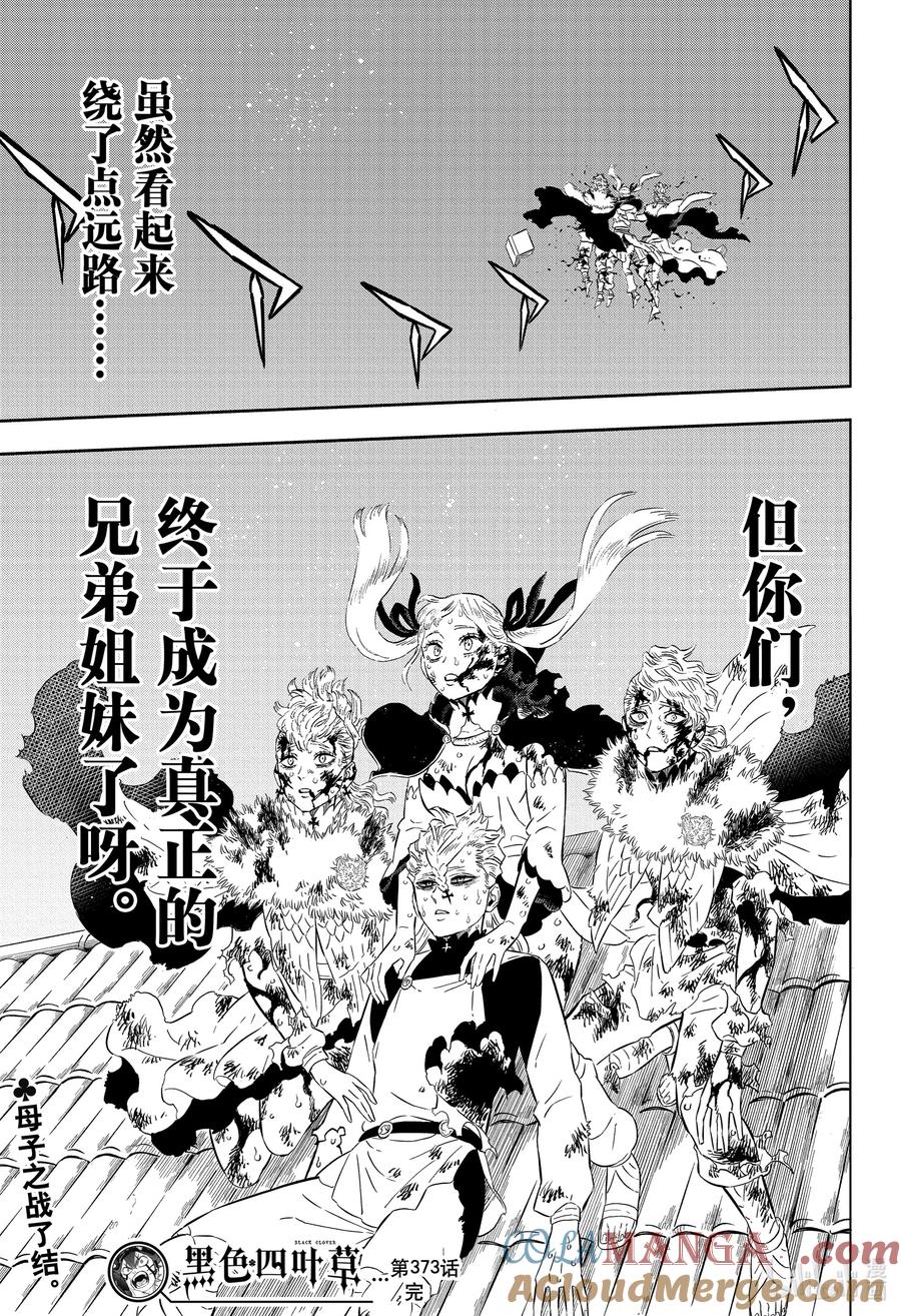 373希尔巴家的兄弟姐妹-黑色四叶草-田畠裕基,集英社（第25张）