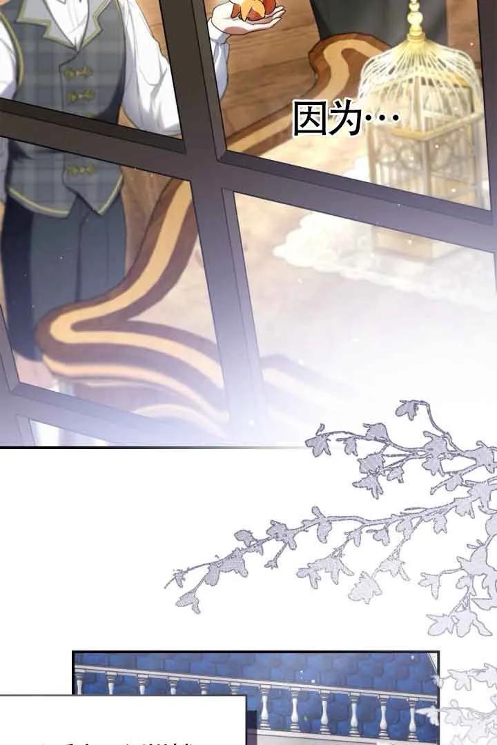 52.jpg