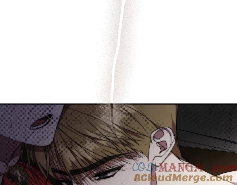 253.jpg