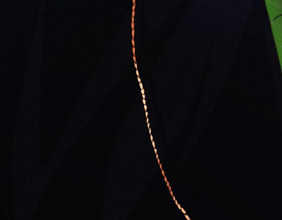 100.jpg