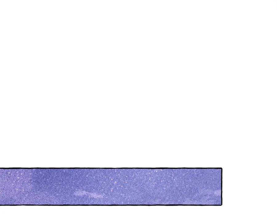 123.jpg
