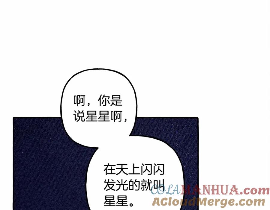 113.jpg