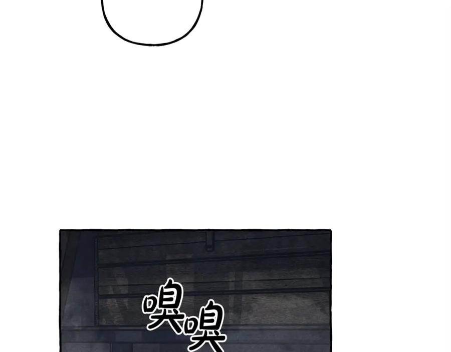96.jpg