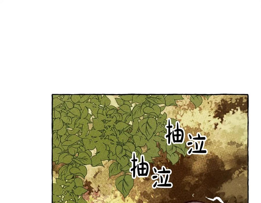 144.jpg