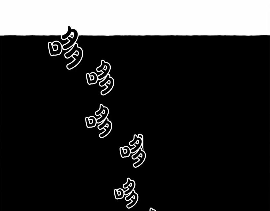 146.jpg