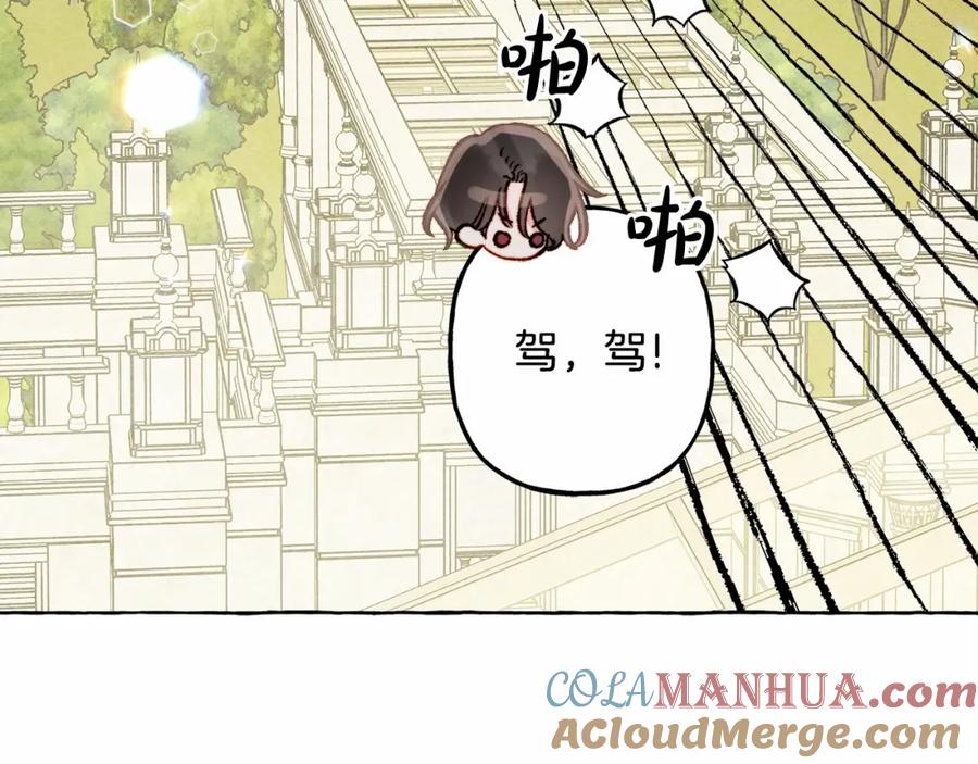 133.jpg