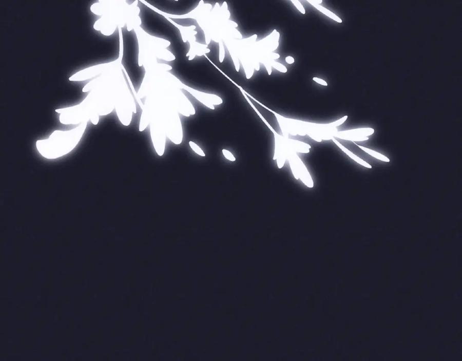 78.jpg