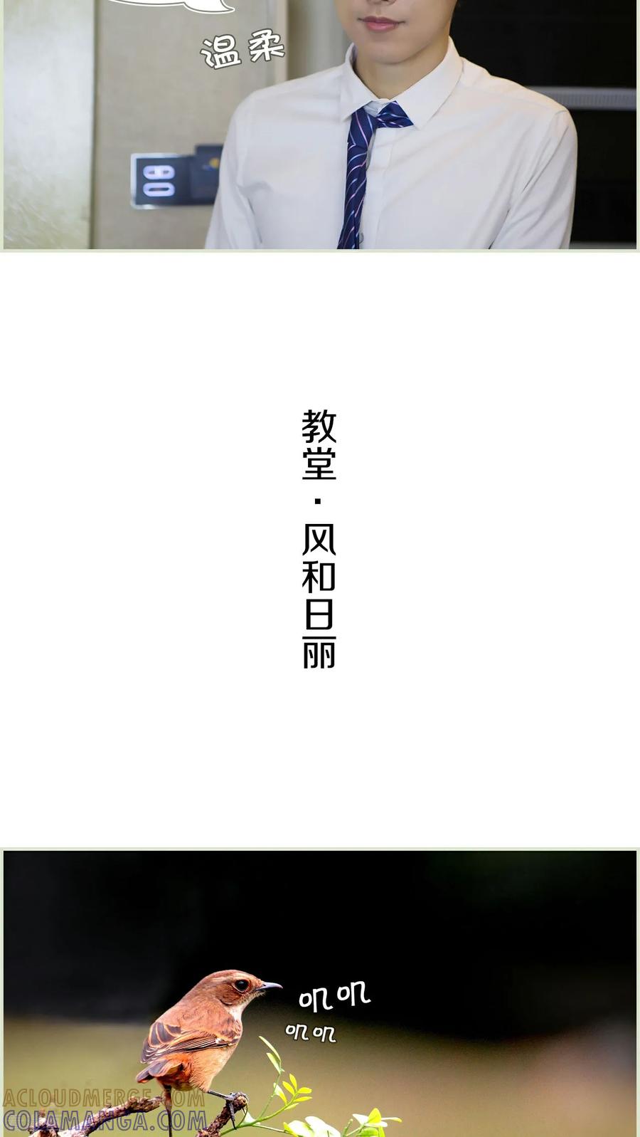 最终话-再见喵小姐-剧能玩（第5张）