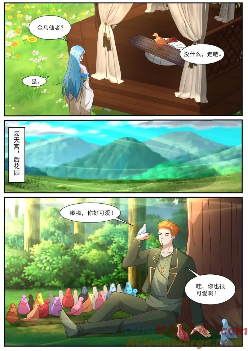 6.jpg