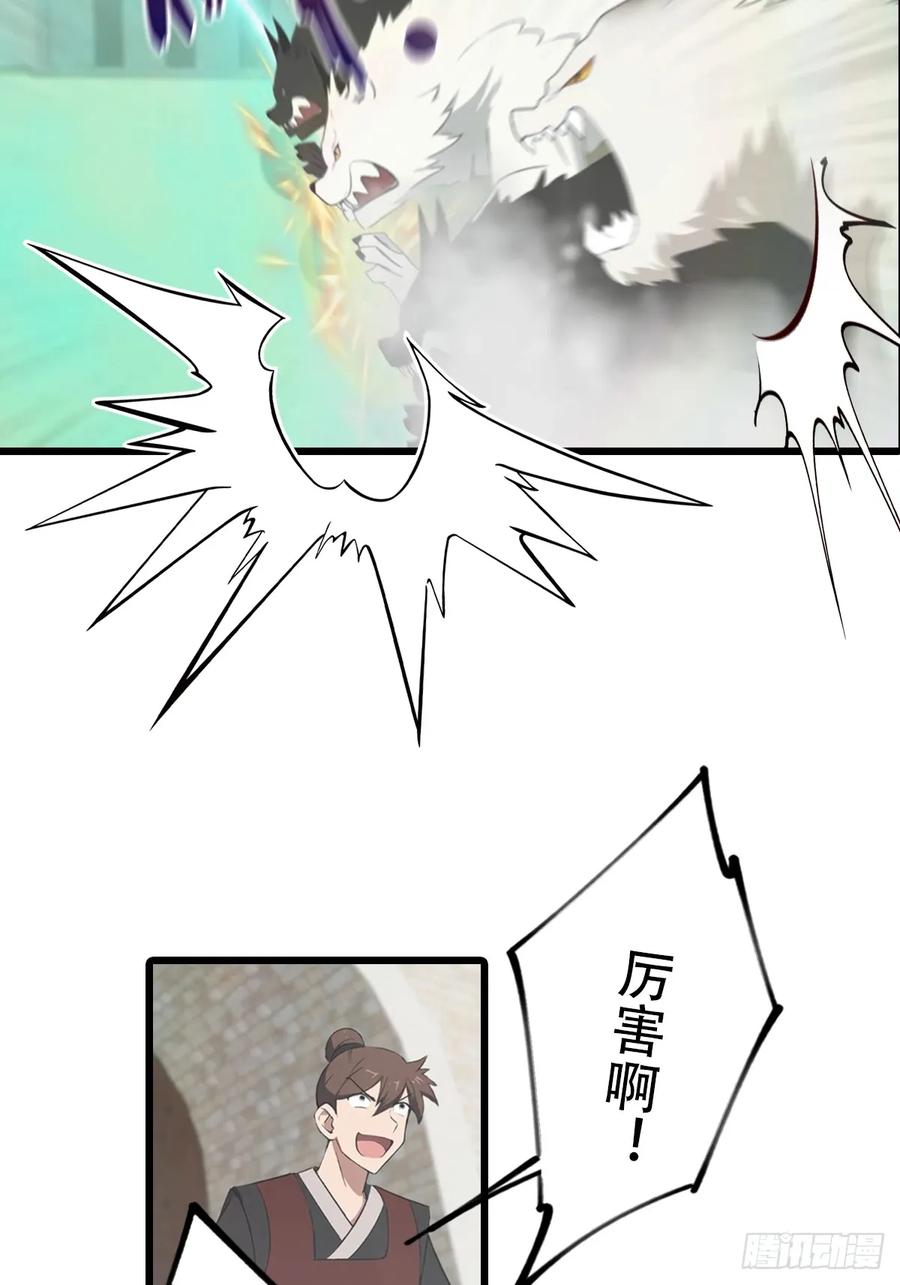 14.jpg