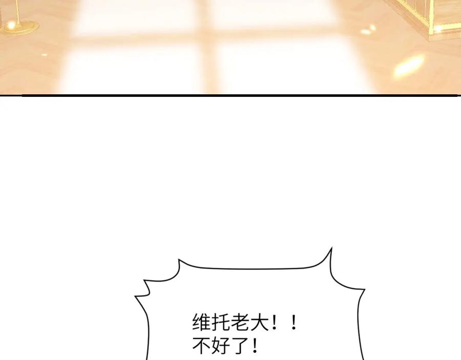 255.jpg