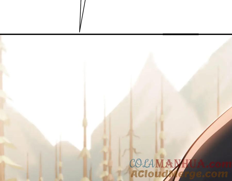 213.jpg