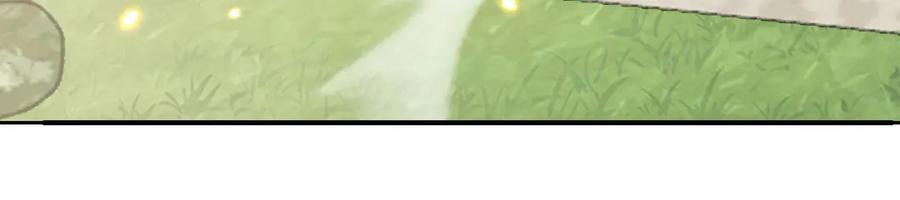 204.jpg