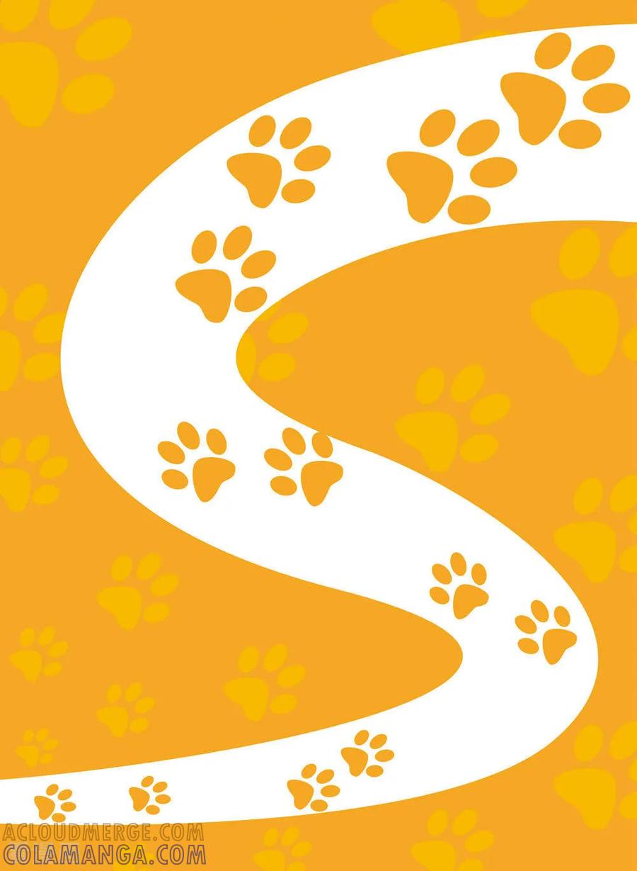 第10话-虹猫蓝兔快乐数学-虹猫蓝兔（第9张）