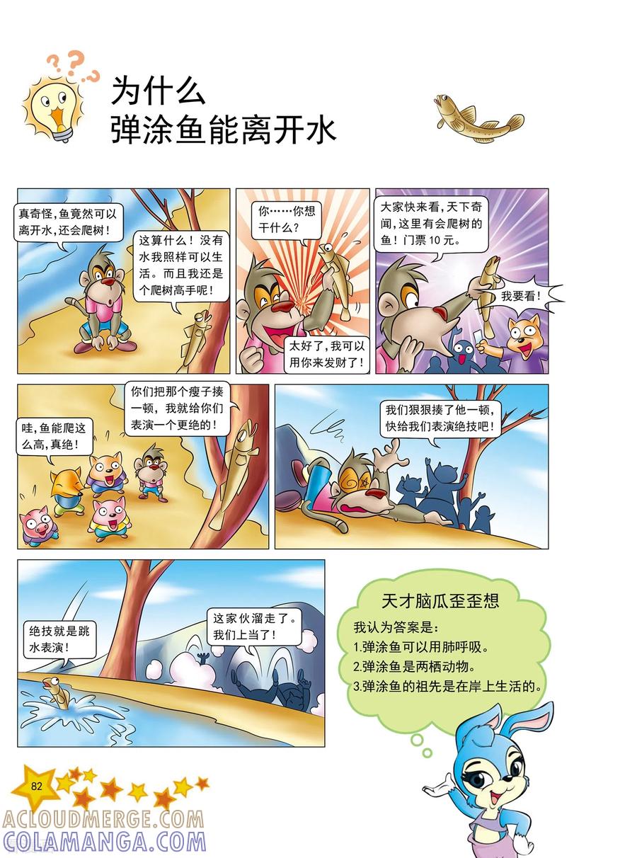 第19话-虹猫蓝兔十万个为什么-虹猫蓝兔（第3张）