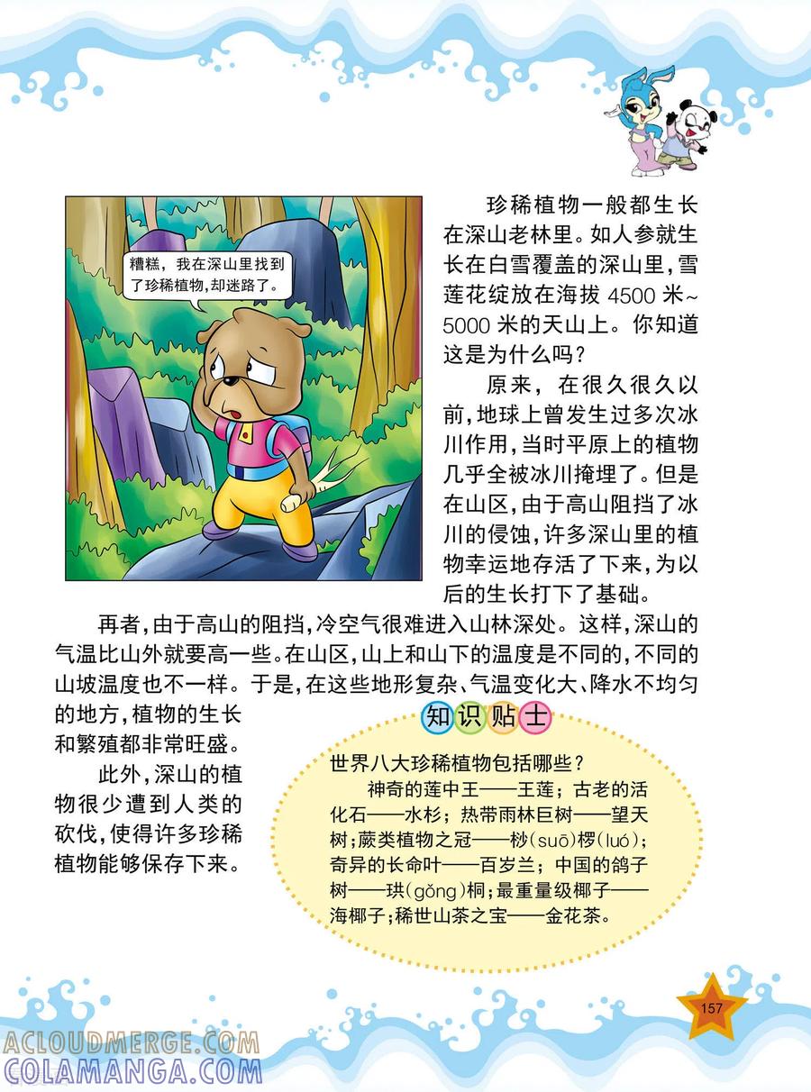 第19话-虹猫蓝兔十万个为什么之自然卷-虹猫蓝兔（第6张）