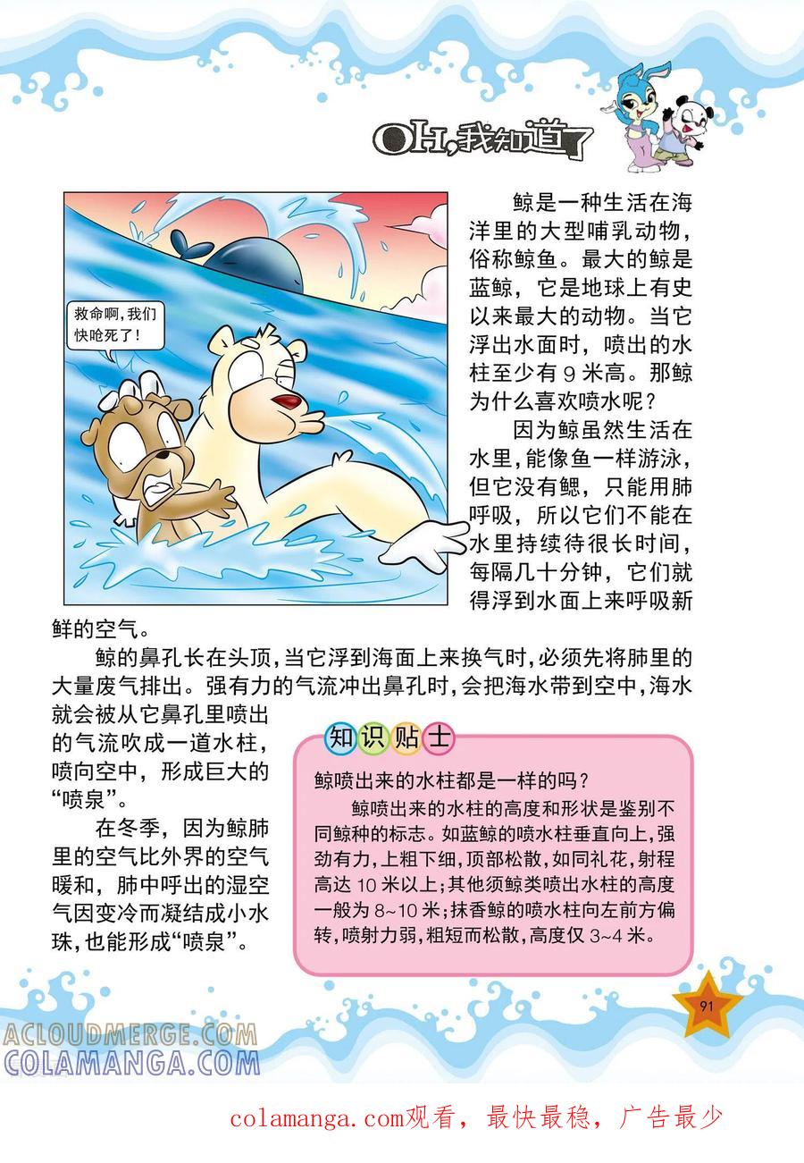 第21话-虹猫蓝兔十万个为什么-虹猫蓝兔（第4张）