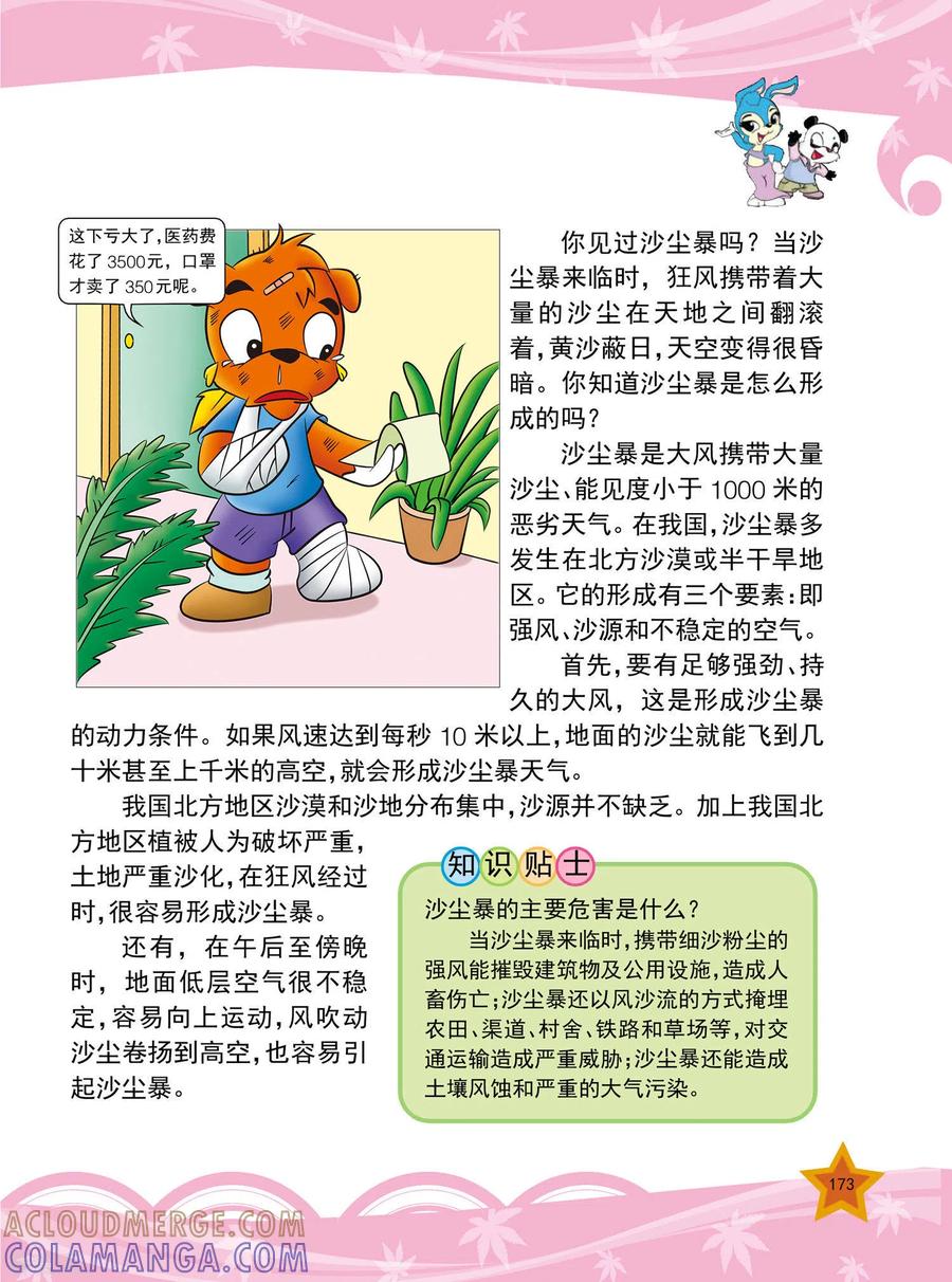 最终话-虹猫蓝兔十万个为什么之自然卷-虹猫蓝兔（第6张）