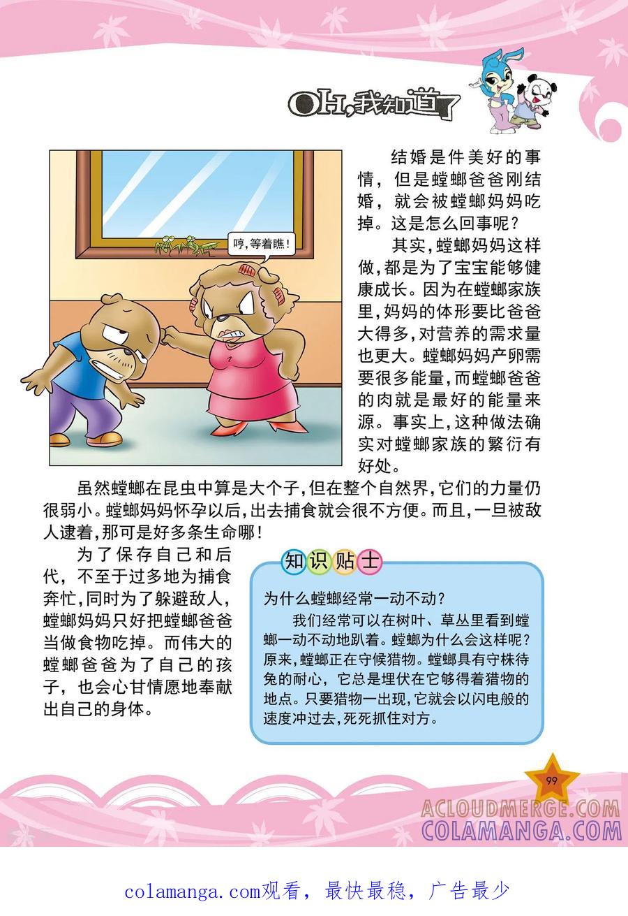 第23话-虹猫蓝兔十万个为什么-虹猫蓝兔（第4张）