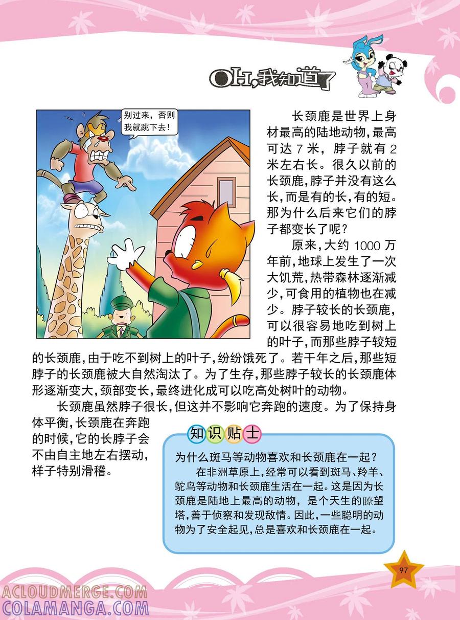 第23话-虹猫蓝兔十万个为什么-虹猫蓝兔（第2张）