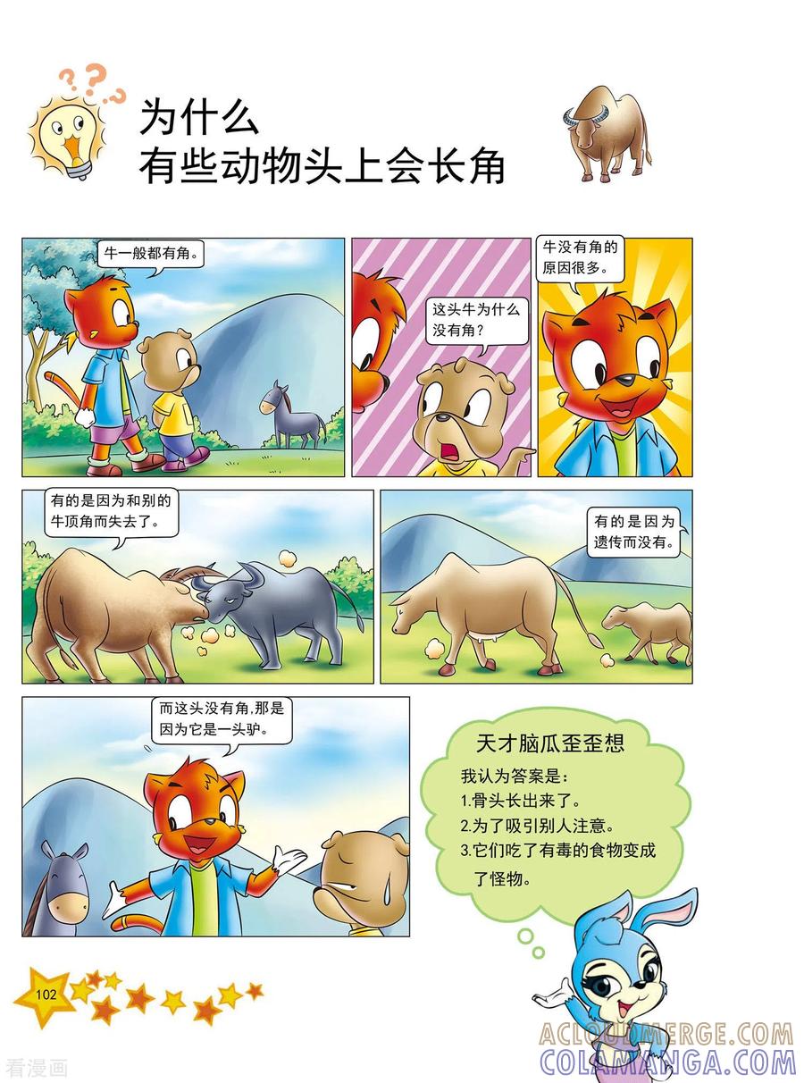 第24话-虹猫蓝兔十万个为什么-虹猫蓝兔（第3张）