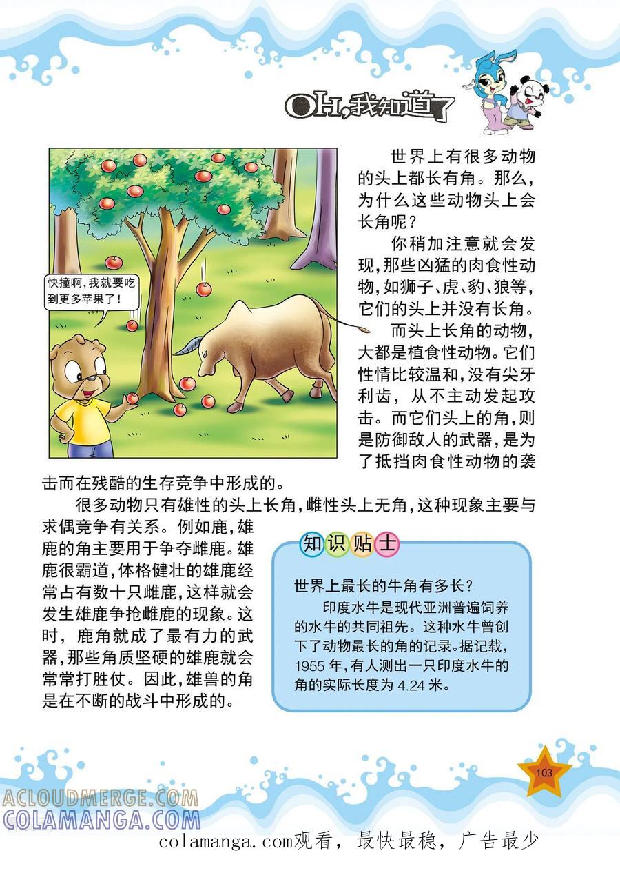 第24话-虹猫蓝兔十万个为什么-虹猫蓝兔（第4张）