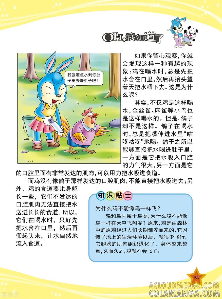 第25话-虹猫蓝兔十万个为什么-虹猫蓝兔（第2张）