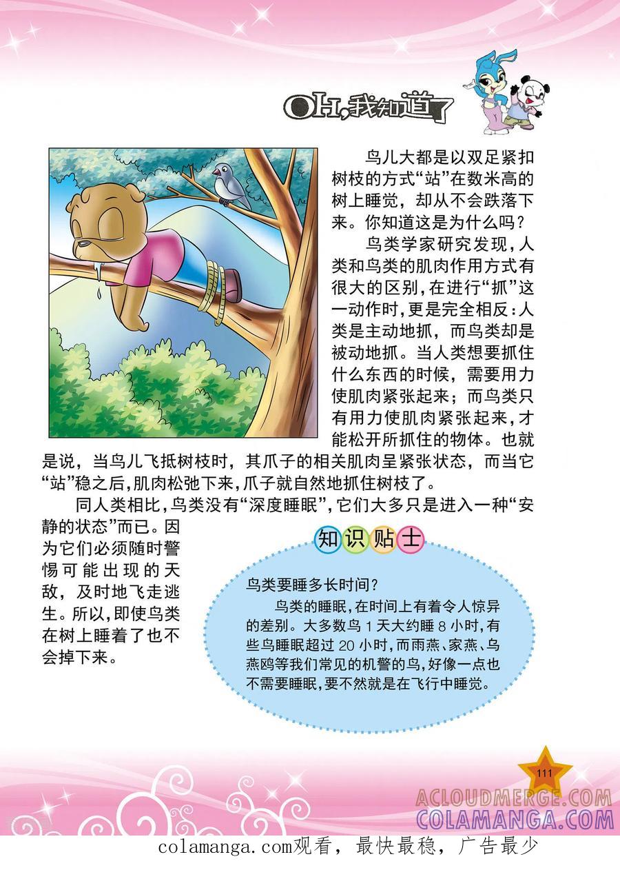 第26话-虹猫蓝兔十万个为什么-虹猫蓝兔（第4张）