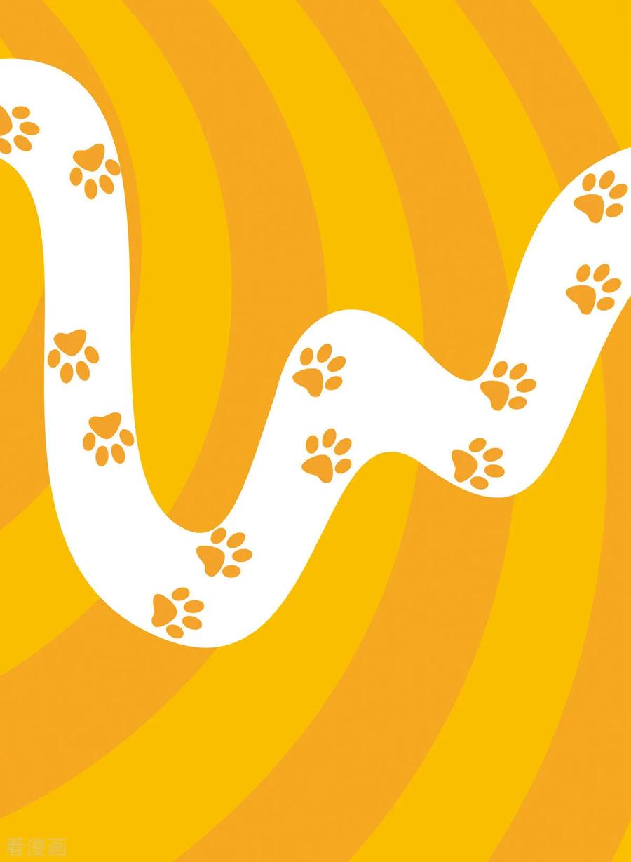 第6话-虹猫蓝兔快乐数学-虹猫蓝兔（第2张）
