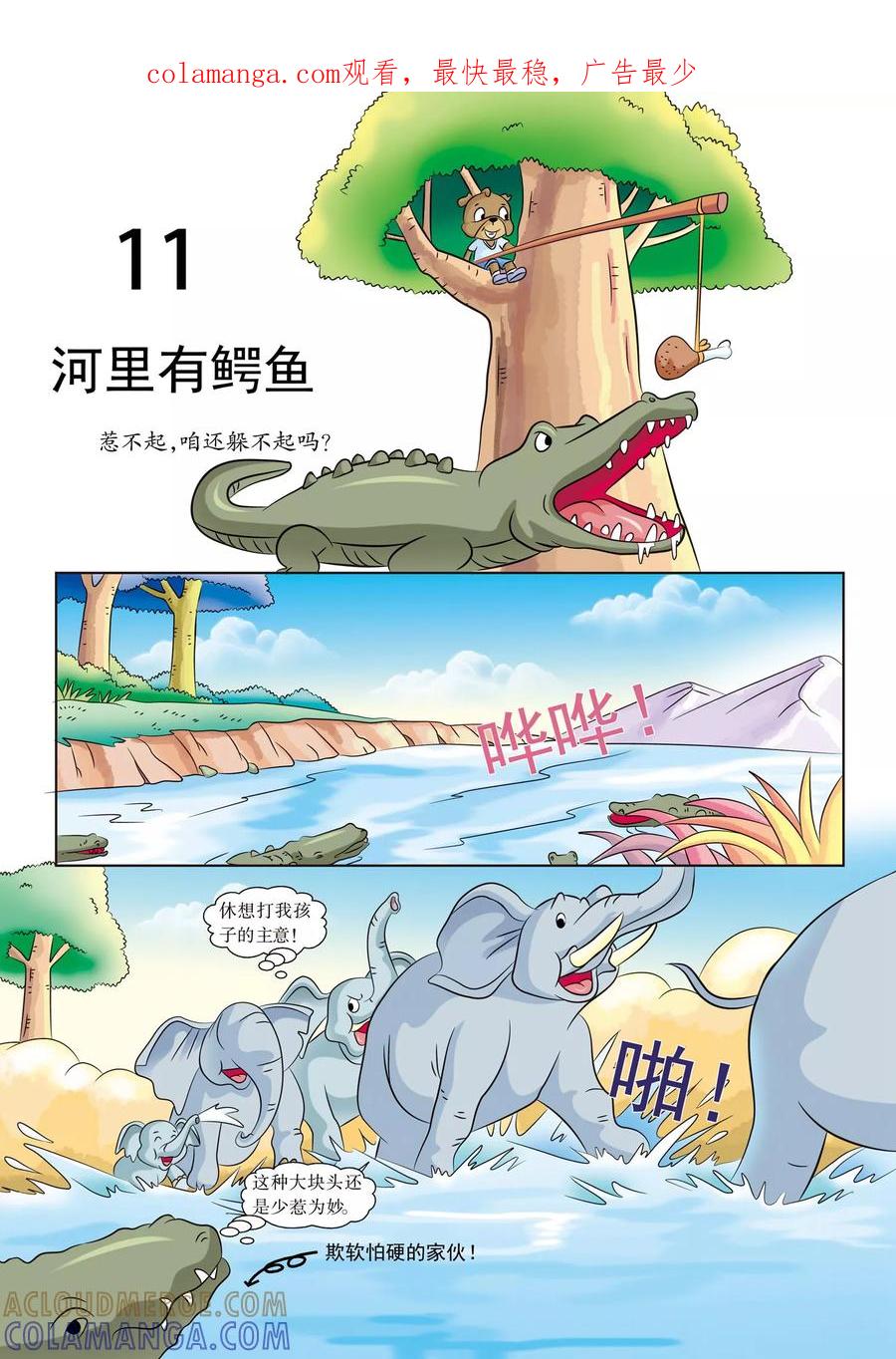 第11话河里有鳄鱼-虹猫蓝兔漫画科学探险之南非草原历险记-虹猫蓝兔（第1张）