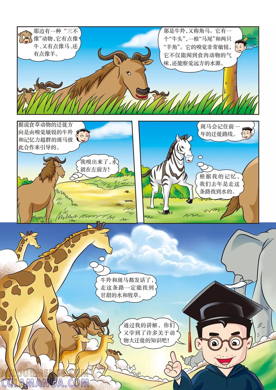 第12话花豹出击-虹猫蓝兔漫画科学探险之南非草原历险记-虹猫蓝兔（第3张）