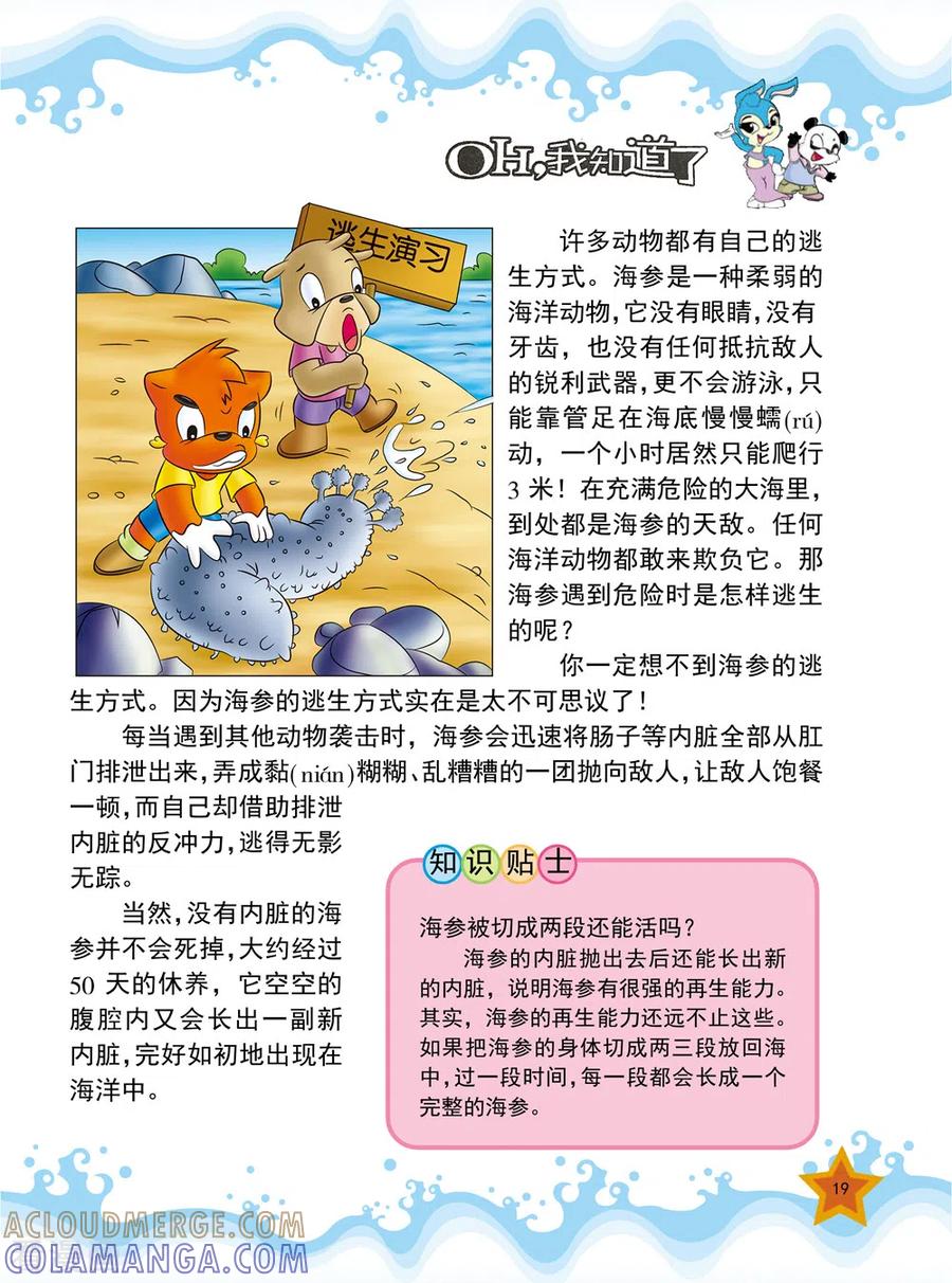 第3话-虹猫蓝兔十万个为什么-虹猫蓝兔（第4张）