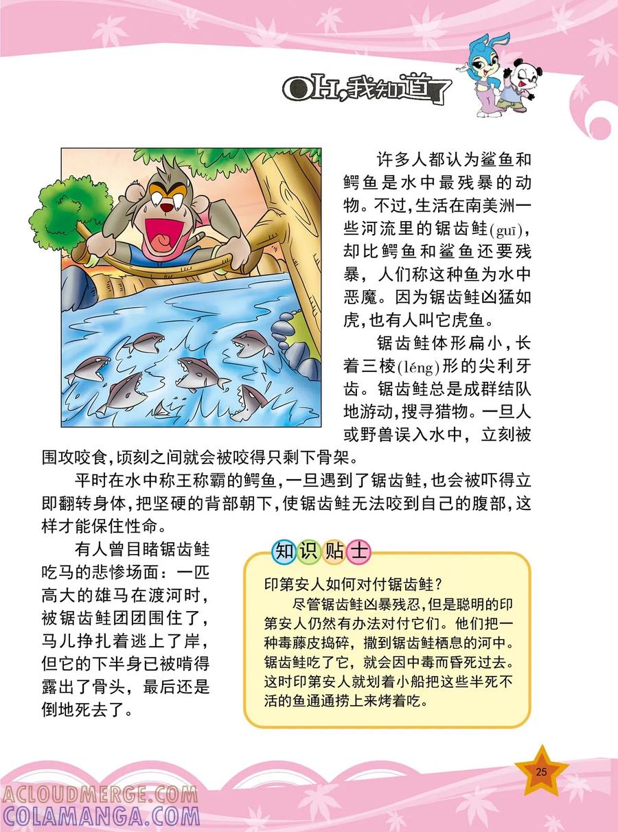 第5话-虹猫蓝兔十万个为什么-虹猫蓝兔（第2张）