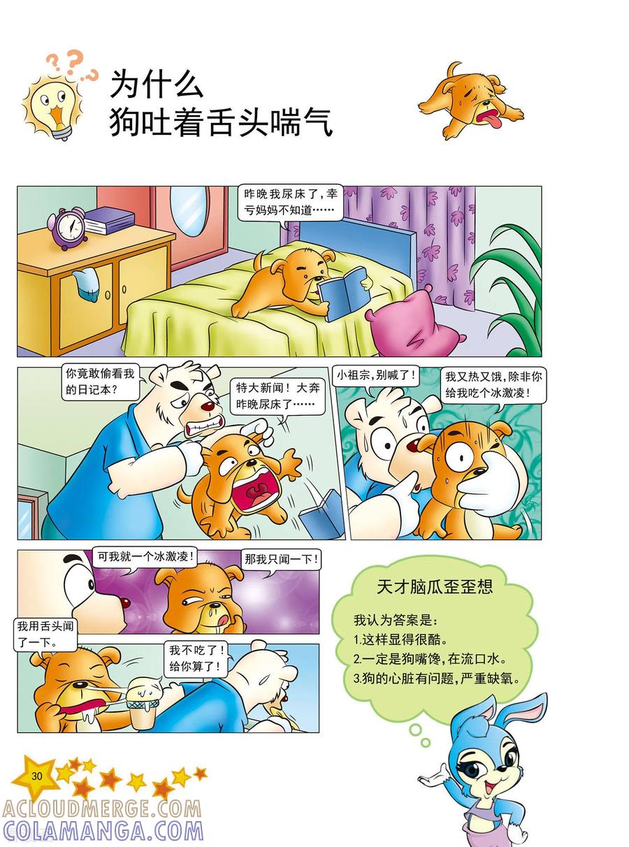 第6话-虹猫蓝兔十万个为什么-虹猫蓝兔（第3张）