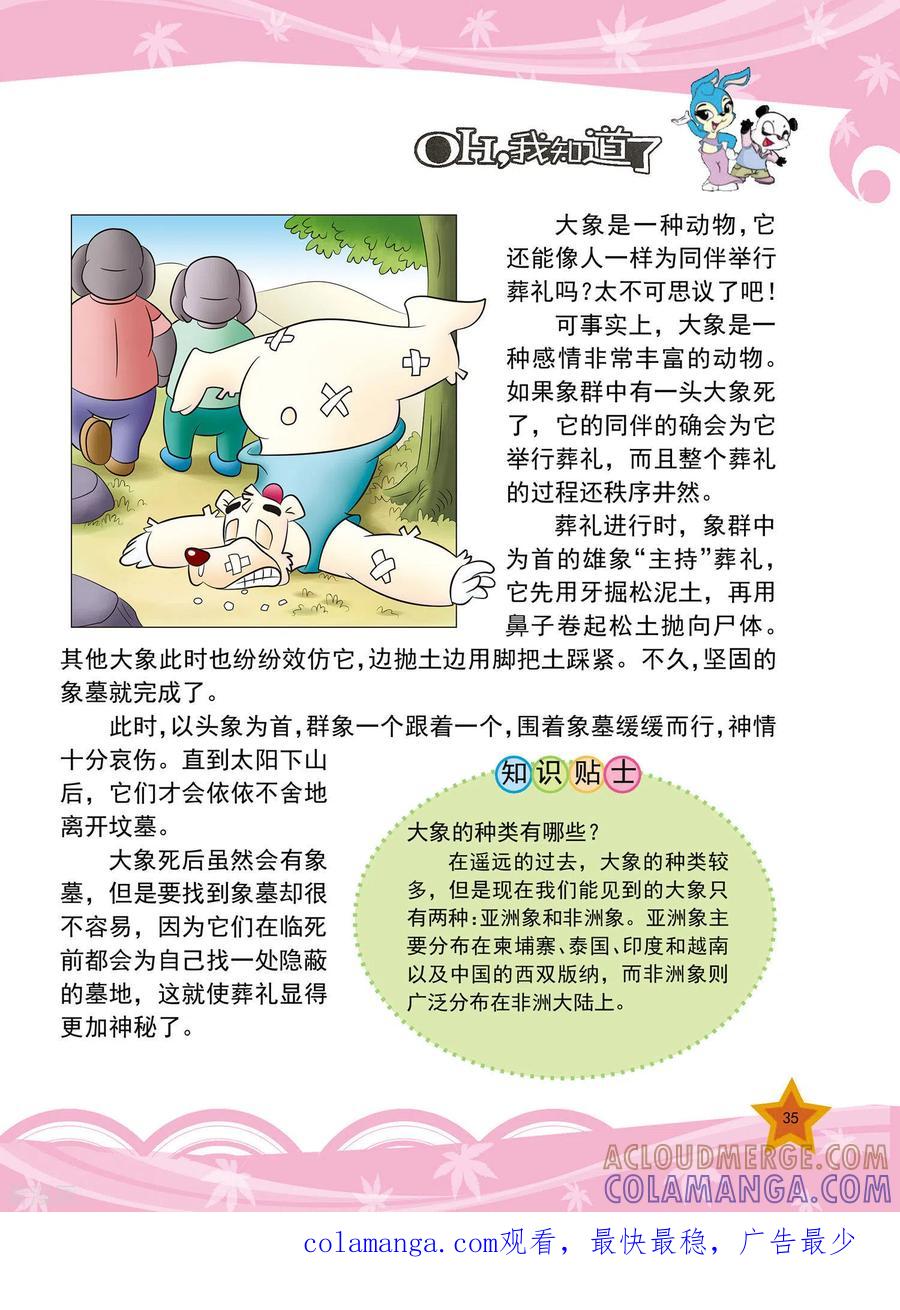 第7话-虹猫蓝兔十万个为什么-虹猫蓝兔（第4张）