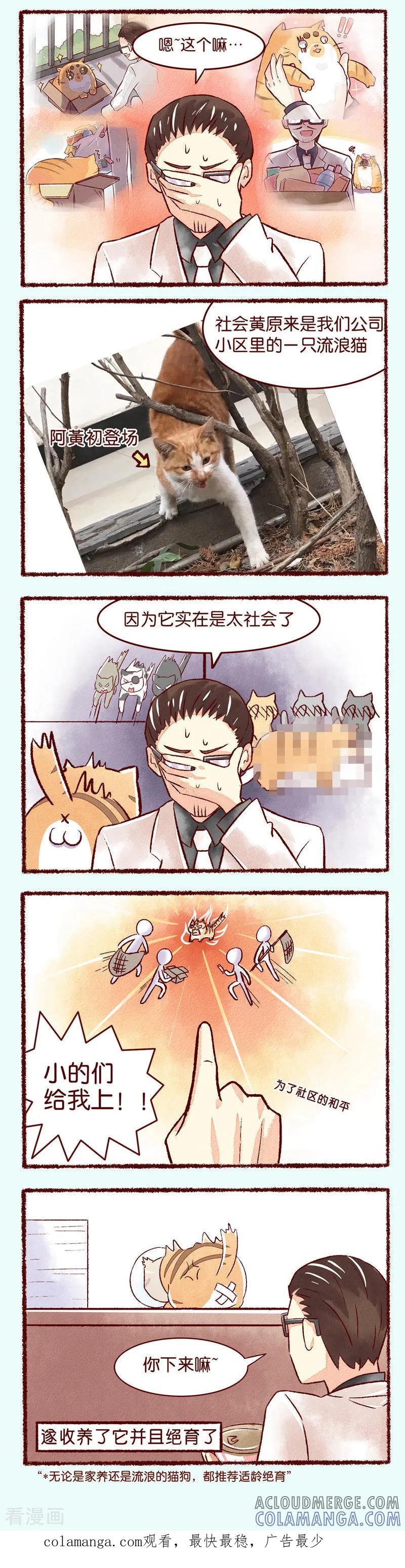 第102话理想和现实-吾名社会黄-柏岩文化（第2张）