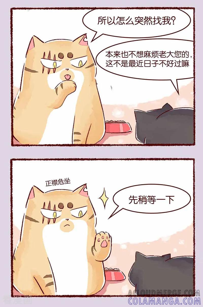 第114话阿黑-吾名社会黄-柏岩文化（第2张）