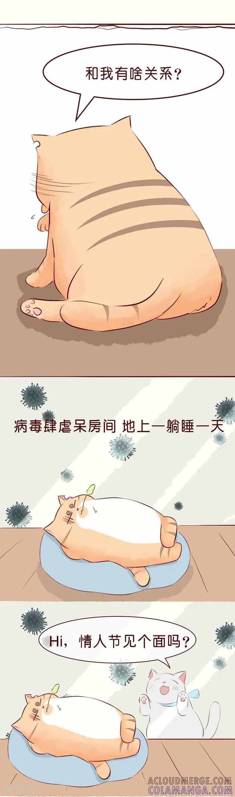 情人节特刊-吾名社会黄-柏岩文化（第2张）