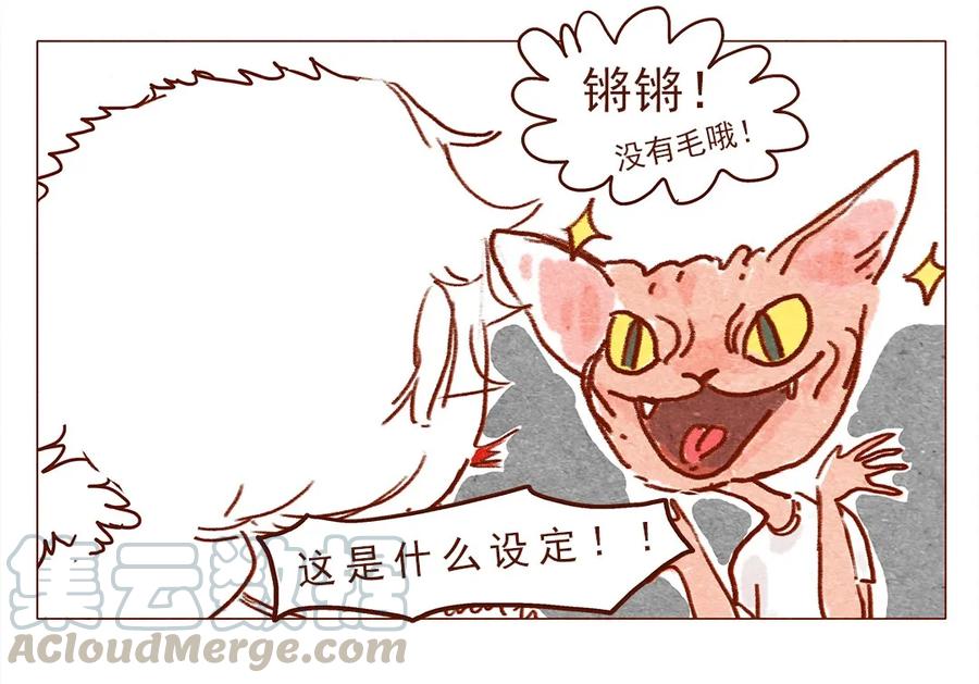 第3话自由变换-喂，看见耳朵啦-特雷西胡,漫漫漫画（第5张）