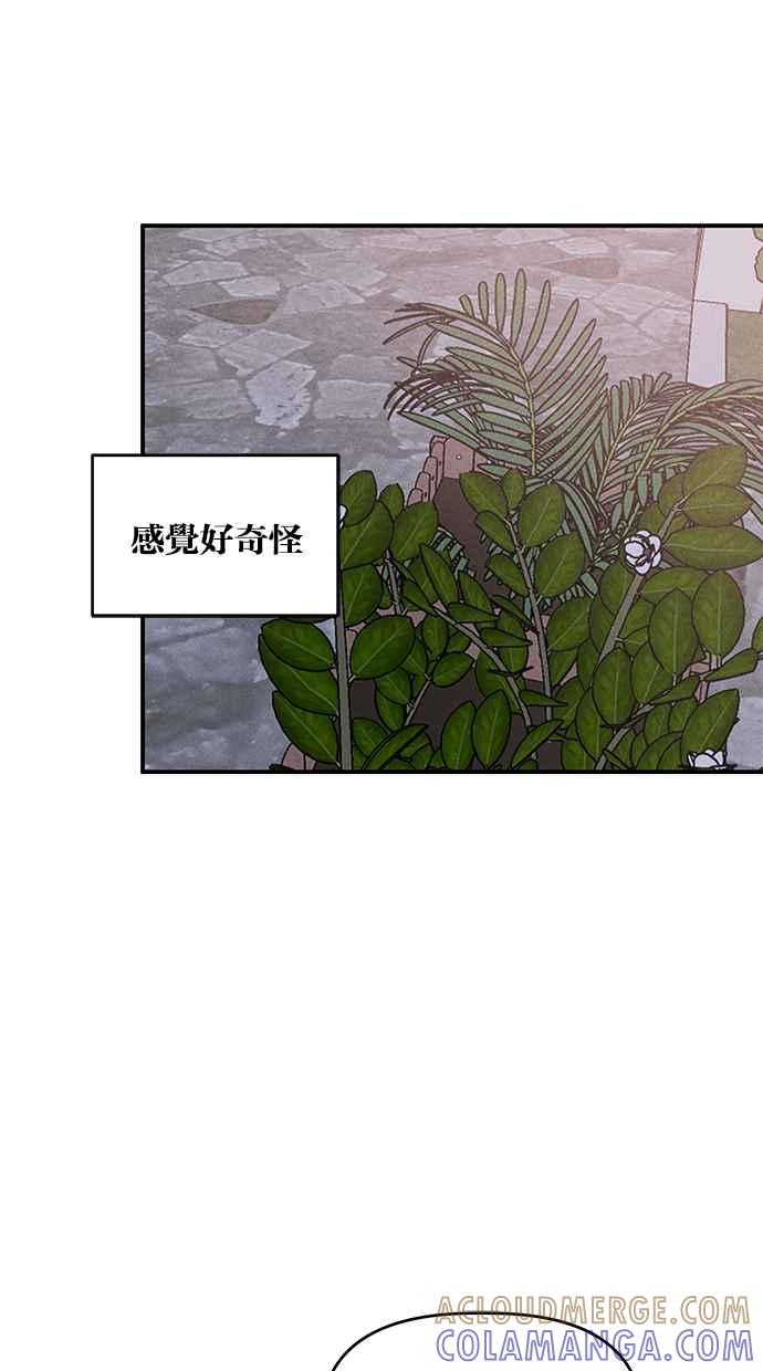 55.jpg