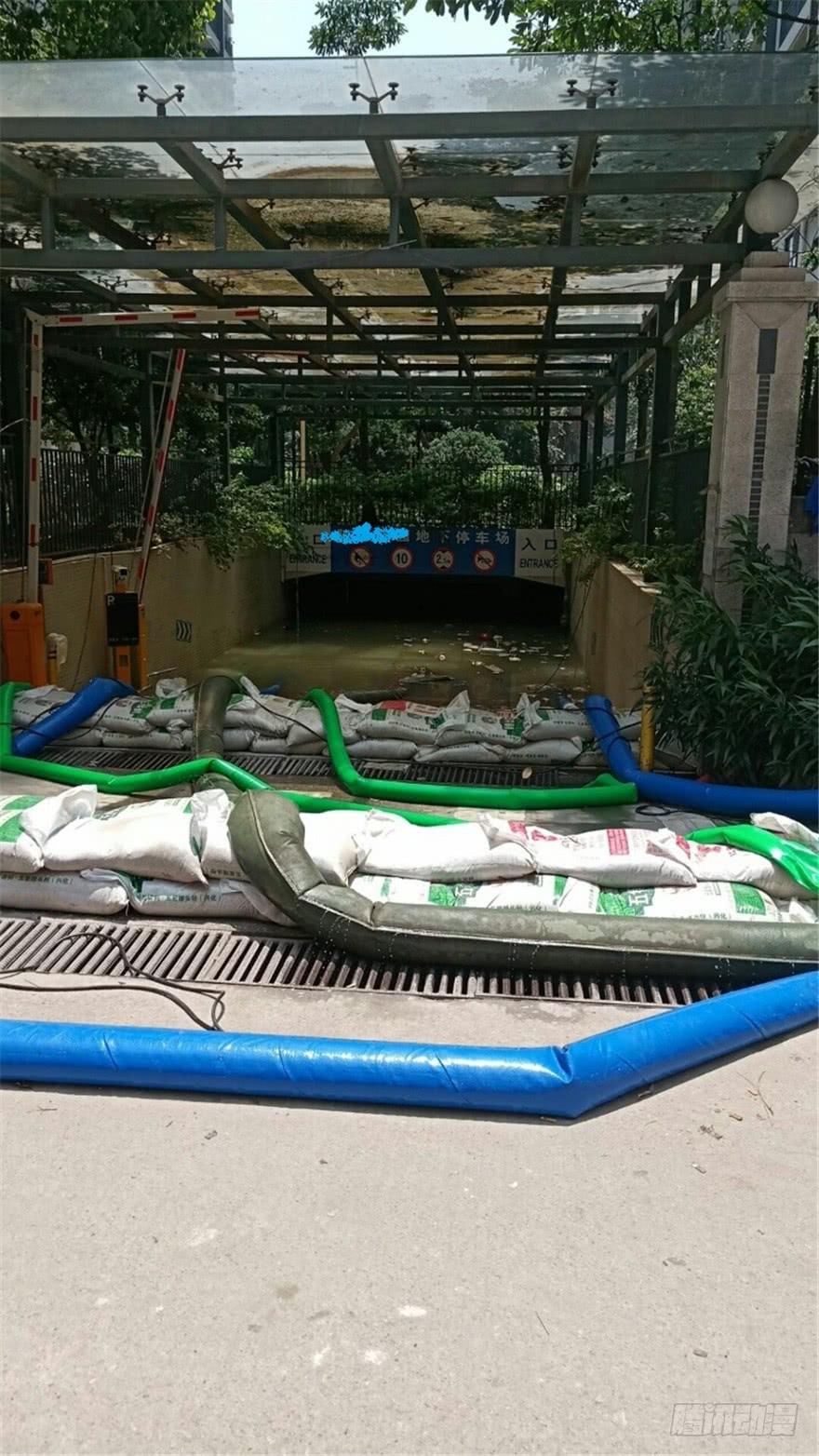 少侠，潜水健身了解一下-花非花-夏小卷（第2张）