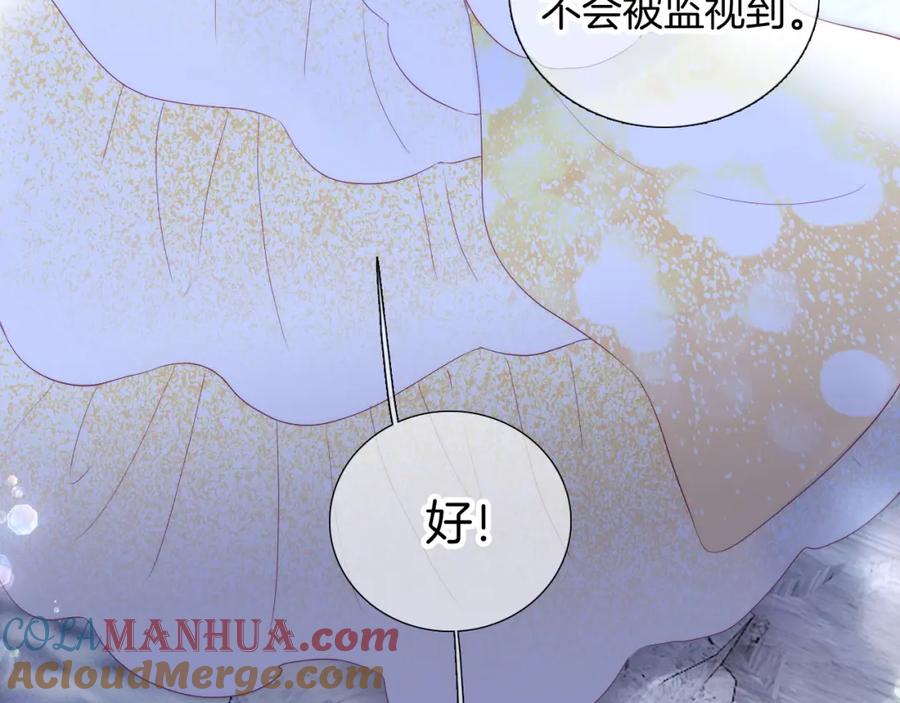 完结篇花好月圆夜（上）-花和刺猬逃跑了-丁冰（第77张）