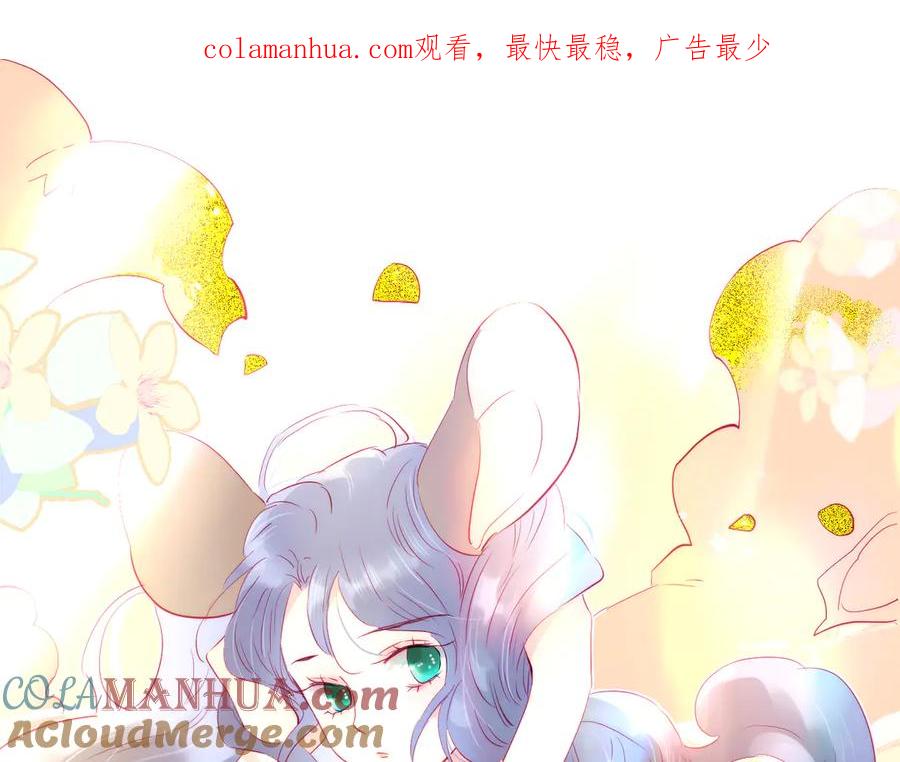 第11话花完了！-花和刺猬逃跑了-丁冰（第1张）