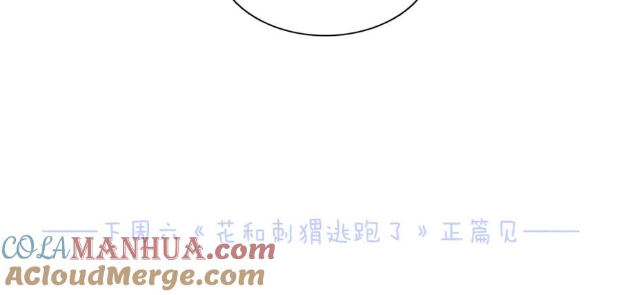 小剧场花与琴的世界混乱了.上-花和刺猬逃跑了-丁冰（第27张）