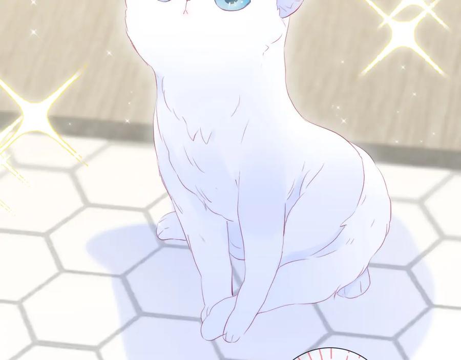 第58话夸我-花和刺猬逃跑了-丁冰（第17张）