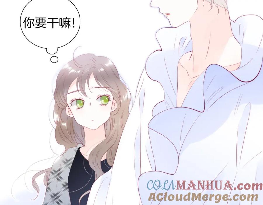 小剧场花与琴的世界混乱了.下-花和刺猬逃跑了-丁冰（第16张）