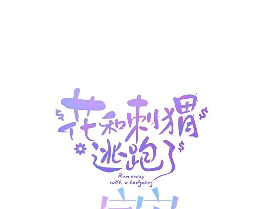 小剧场花与琴的世界混乱了.下-花和刺猬逃跑了-丁冰（第11张）