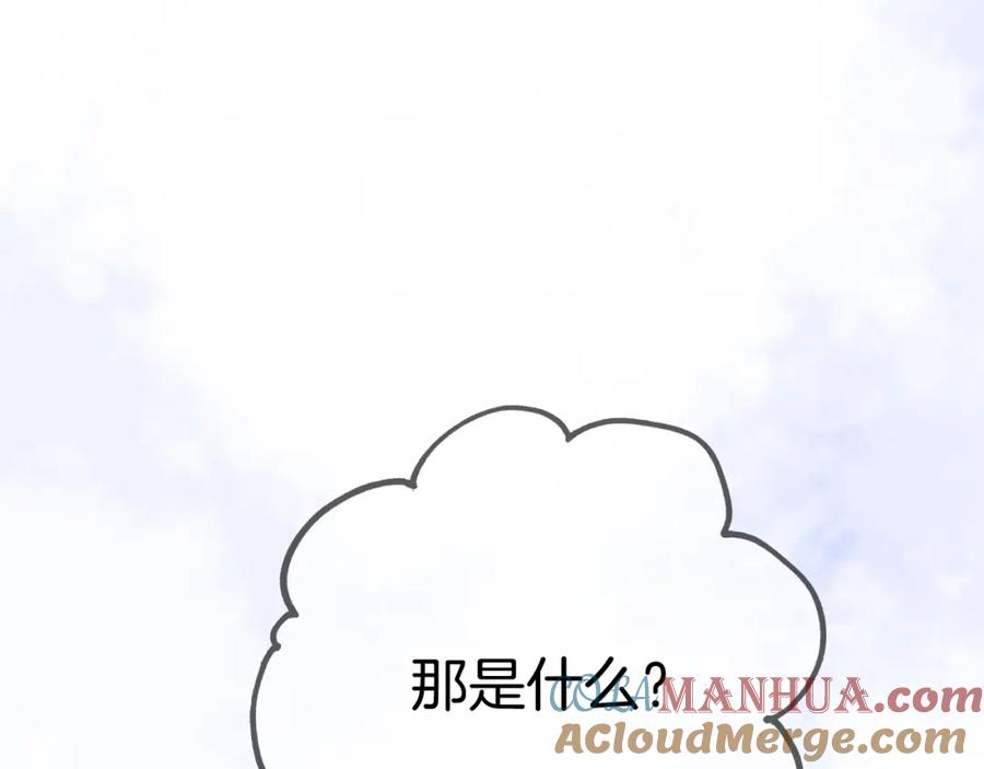 第66话试探-花和刺猬逃跑了-丁冰（第13张）