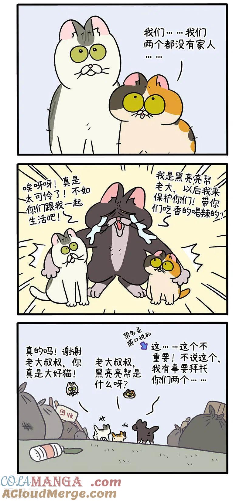 番外8上黑亮亮帮的往事-阿满和麦茶-新漫画 日胖大海寺（第3张）