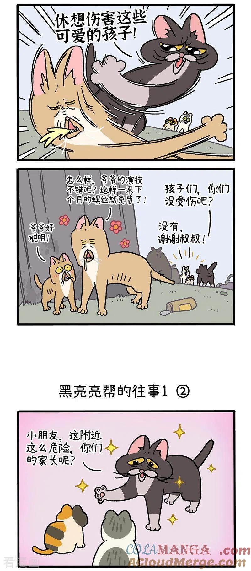 番外8上黑亮亮帮的往事-阿满和麦茶-新漫画 日胖大海寺（第2张）